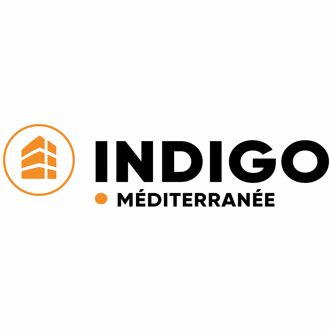 logo indigo
